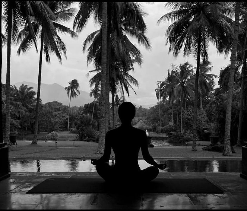 Charger la vidéo : 